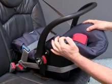 ������ �������, �������� �������� �������� �� ����, ����� � ���� �� 1 ���������