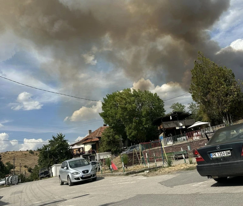 Голям пожар гори в пернишкото село Расник 