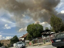 Голям пожар гори в пернишкото село Расник 