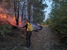 Пожарът край Каменар е бил локализиран