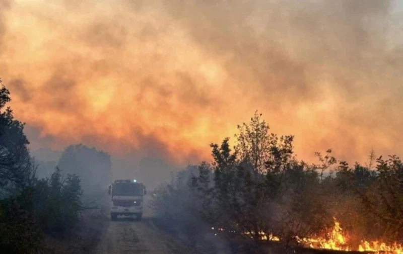 Близо 260 дка държавни гори изгоряха в землището на с. Байкал