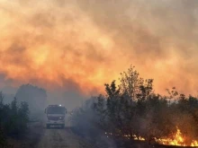 Близо 260 дка държавни гори изгоряха в землището на с. Байкал