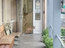 ������ ����� � ��� - ������ �������