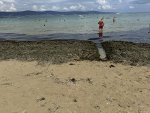 Сериозен проблем с водораслите по Черноморието