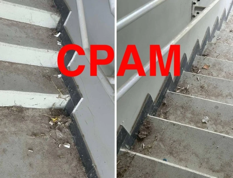 Фенове на Локо към ръководството: Срам! Аматьорско отношение по всички нива на управлението!