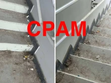 Фенове на Локо към ръководството: Срам! Аматьорско отношение по всички нива на управлението!
