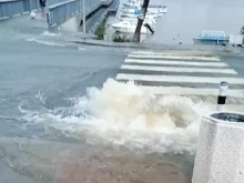 ������� �� ������� ���� �������� ����