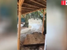 ������������� ����� �� ������� "������" ���� �������� ����!