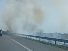 Отново пожар гори на АМ "Тракия"