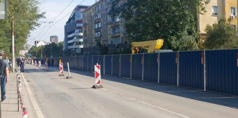 Започна изсичането на дървета на ул. "Опълченска", столичани протестират