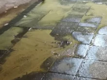 ��� �� ���������� ����������� �� ����� � ��������� ����� "�������"