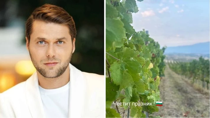 Ергенът Алек отиде на лозето