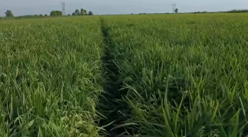 ������������������ ����� ��������� �� ���� �� ��� � ��������� �� ��������� ���� � ����������