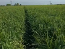 ������������������ ����� ��������� �� ���� �� ��� � ��������� �� ��������� ���� � ����������