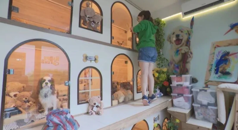 �� �������� �������� �� ������� � �����, �� �� ������ ������� ������ ��� �� �� ������� �����