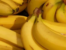 ���� ���������: ��� ��������� ���������� �� ������, ������ �� ���������� �����