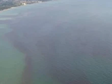 ����� ���� ���������