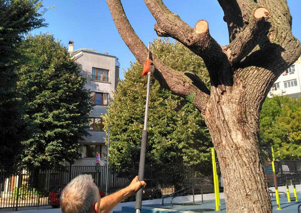 Дадоха старт на важна дейност по площадки в детски градини и училища във Варна