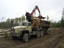 Горските извършват засилени проверки