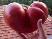 ��� �� ���������� ������?