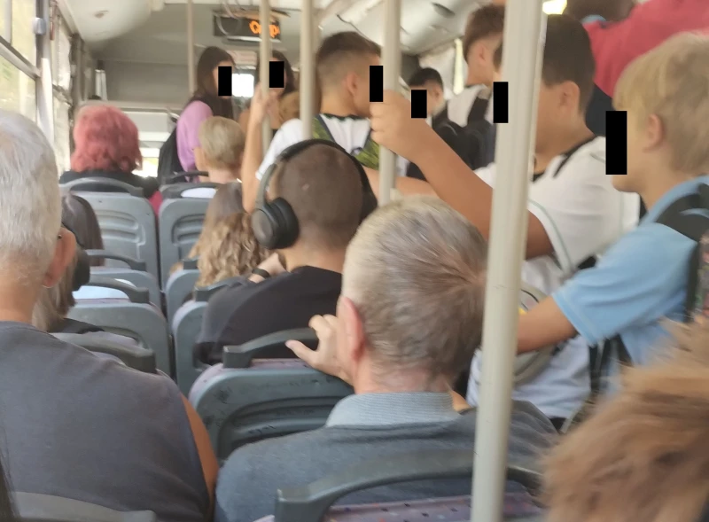 Лудница по автобусна линия 9