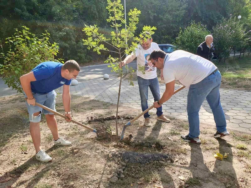 Засадиха нови дървета в пловдивски парк