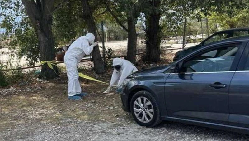 ��� ����� �������� ������ ������������� � ������������� ��������