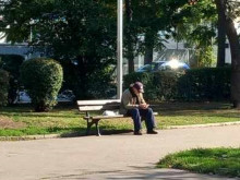 Нивото на ангажираност на хората над 60 години на трудовия пазар у нас е по-високо от средното за ЕС