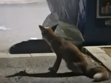 ������ ���� ���������� � � ��������� ��. "������"