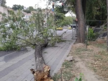 Лошото време в страната вдигна под тревога "Пожарна безопасност и защита на населението"