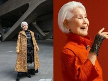 81-������� �� ���� �� ��� �������