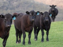 ��� ��� �� ������� ��������� �� ����� �� ������