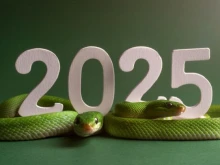 2025 �. � �������� �� ������ � �� � ��-����� �� 2024 �.