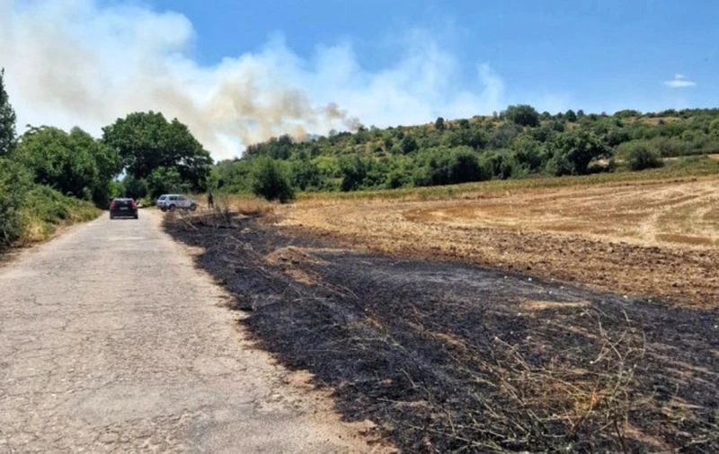 Пожар гори близо до Пловдив