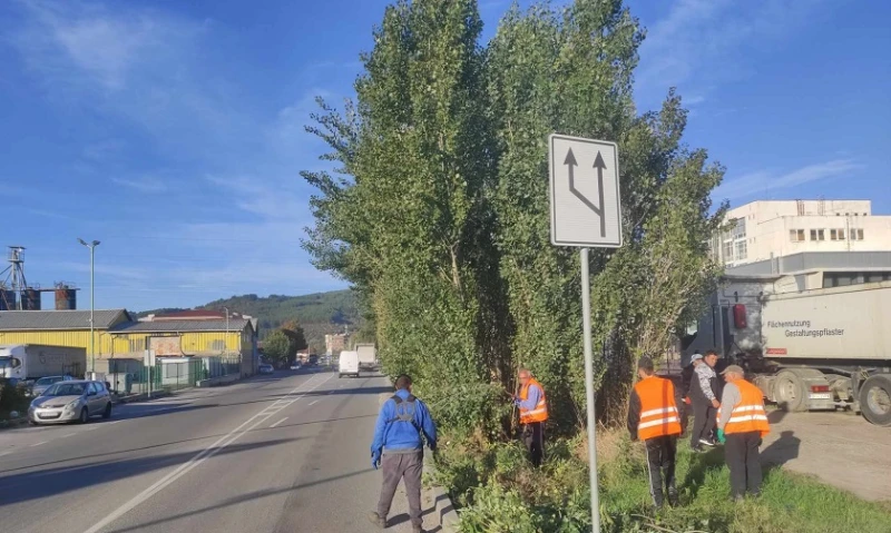 В Дупница се заеха със скритите знаци