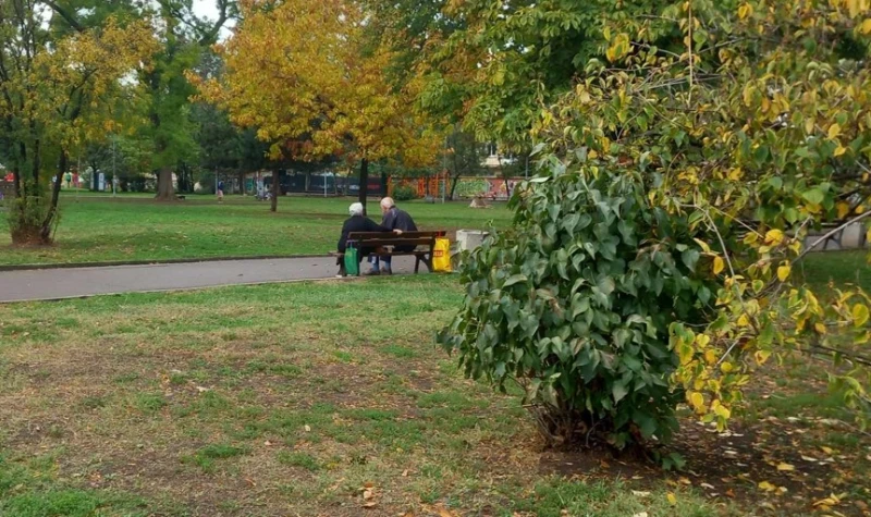 Вие питате, ние отговаряме: Има механизъм – какво следва с издадените безсрочни карти на възрастни хора