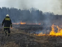 Важно за земеделските стопани, които са пострадали от пожарите това лято