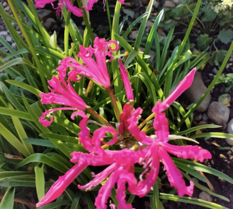���� �� ������ ��� ������� ���� �������� � ��� �� �������� �� ����� �������