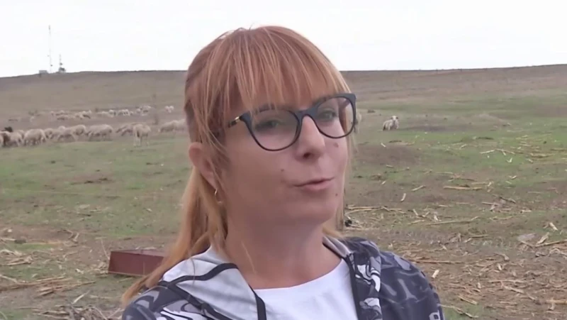 Фермер: За нас бюрокрацията е много по-трудна, отколкото работата в оборите