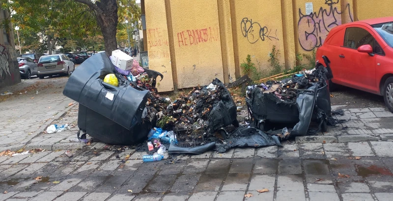 Картина от центъра на Пловдив: Мръсно, заразно и мирише