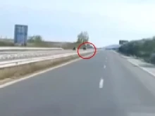 ������ �� ������������ 83-������� ����, ����� � ���������� �� �� "�����"