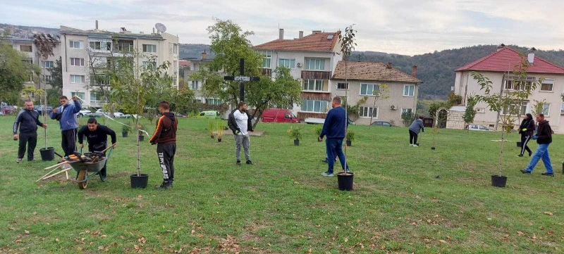 "Зелен паметник" изграждат във Велико Търново