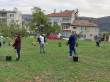 "Зелен паметник" изграждат във Велико Търново