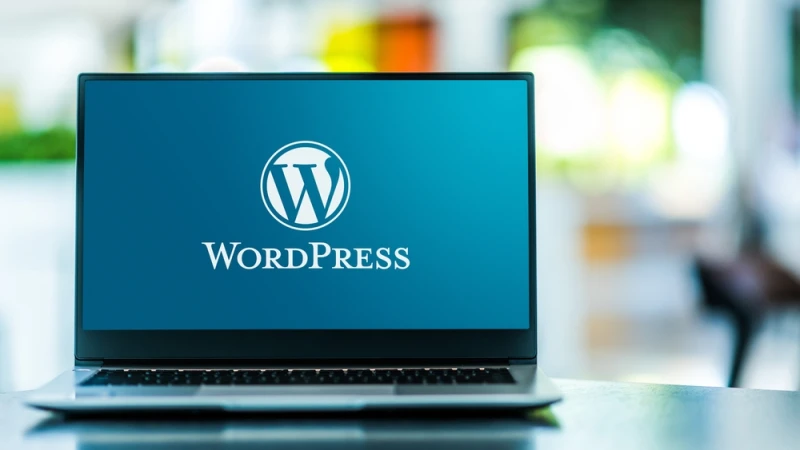WordPress � ���� ������