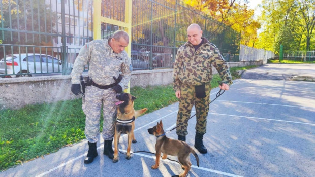 Кучето Роки е новият член на полицията в Шумен 