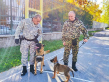 Кучето Роки е новият член на полицията в Шумен 