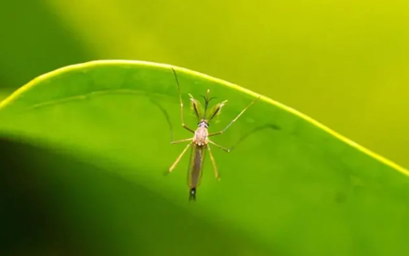 ��� ��� ������ ��������������� ������ � �����