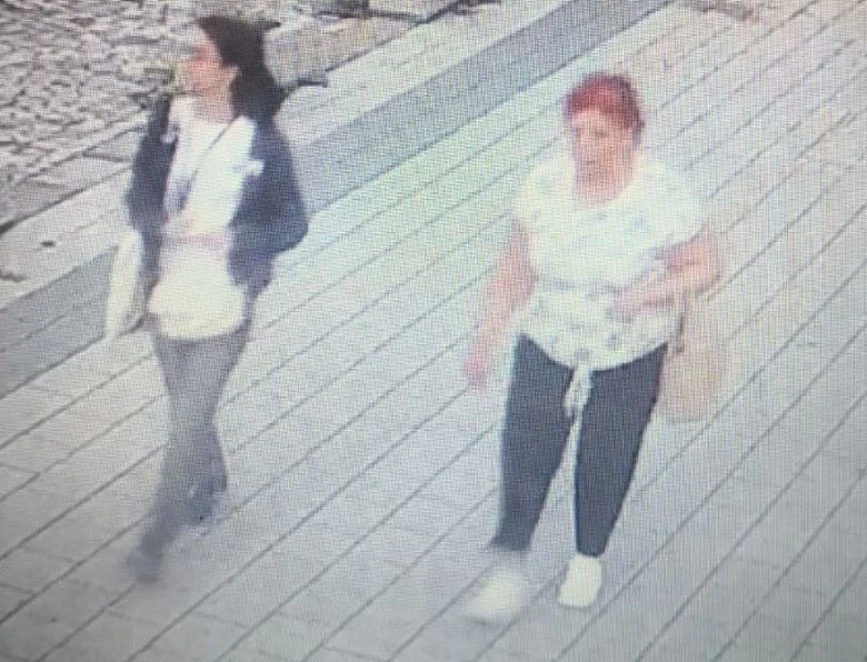 Полицията в Пловдив издирва две жени