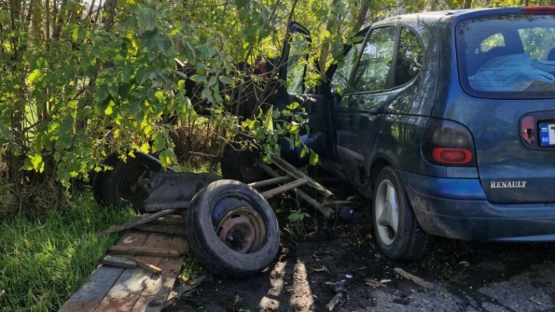 Кола удари каруца в Силистренско, има пострадали 