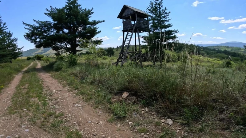 Мароканци опитаха да минат незаконно границата край Кюстендил